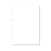 Hamelin Loose Leaf Plain Paper 1000 Page Punched 2 Hole A4 (Pack of 5) 100100084