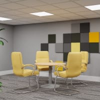 IDAHO Executive Meeting Chairs
