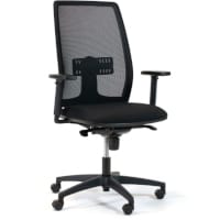 Lira Mesh Office Chair with Adjustable Lumbar Support & Adjustable Arms Black