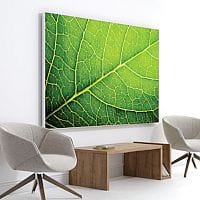 Print Customisable Acoustic Wall Panel with Standard Silver Aluminium Frame