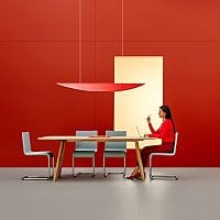 Shell Acoustic Ceiling Panel