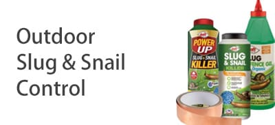 Slug, Snail & Outdoor Pest Control