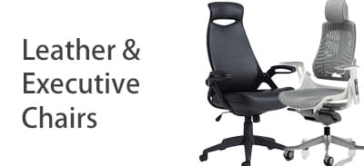 Leather and Executive Chairs