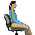 Professional Series Back Support with Microban Protection: Lower Lumbar Support