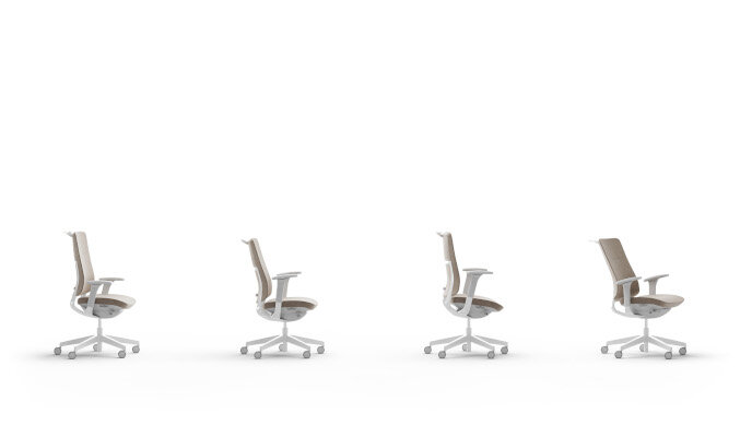 violle meeting chair
