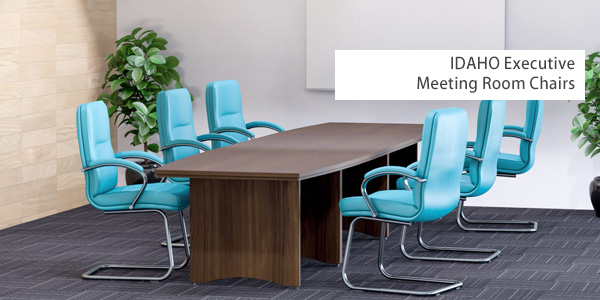 IDAHO Executive Meeting Chairs
