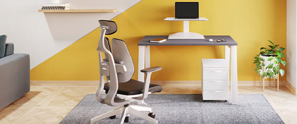 lumbar support