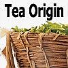 Cafe direct tea origin
